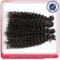 Factory Price Fast Delivery Branded Virgin Cambodian Deep Curly Hair